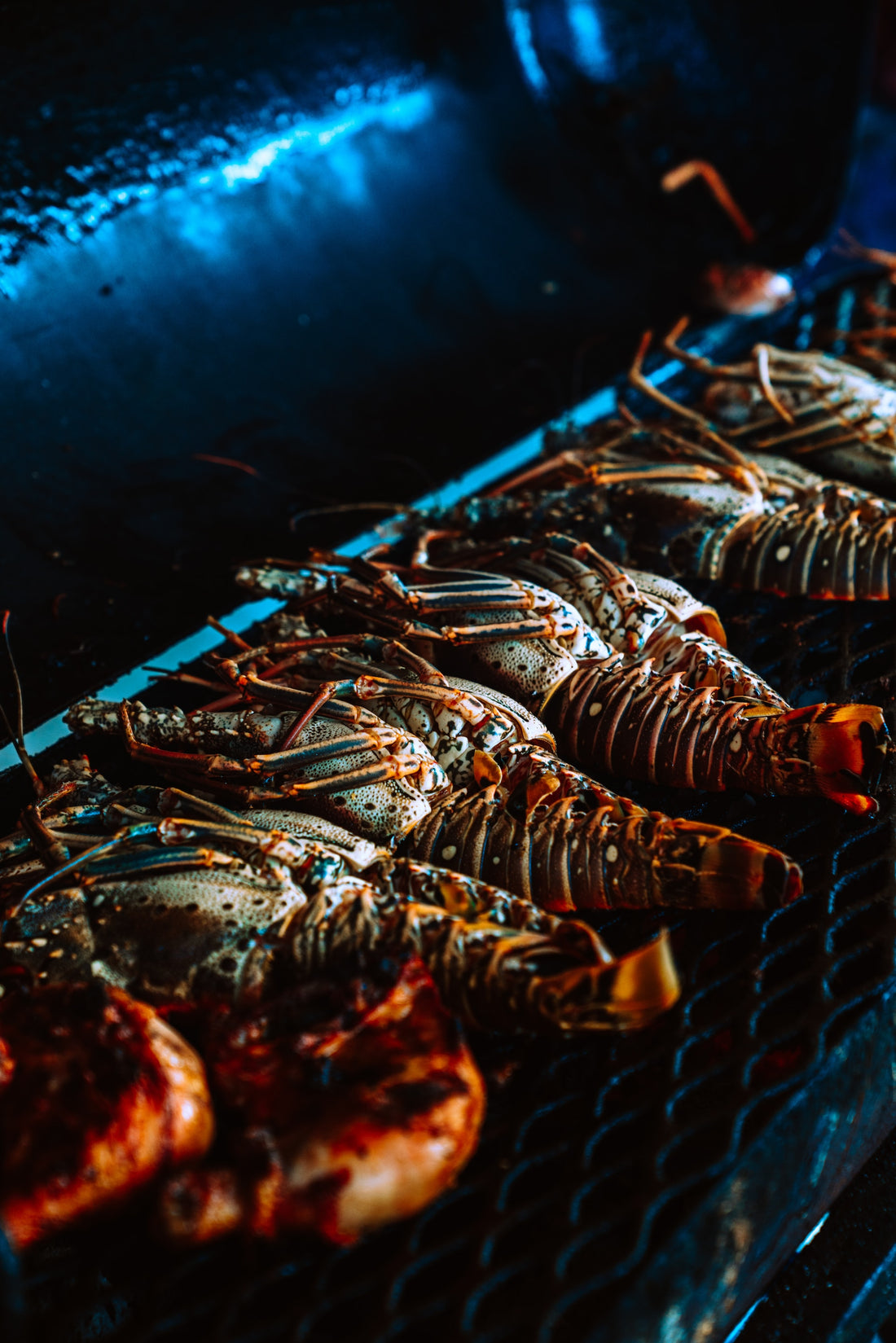 HOMARD GRILLÉ ET SON BEURRE TEXAN